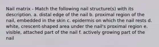 Nail matrix - Match the following nail structure(s) with its description. a. distal edge of the nail b. proximal region of the nail, embedded in the skin c. epidermis on which the nail rests d. white, crescent-shaped area under the nail's proximal region e. visible, attached part of the nail f. actively growing part of the nail