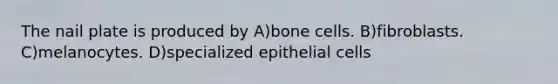 The nail plate is produced by A)bone cells. B)fibroblasts. C)melanocytes. D)specialized epithelial cells