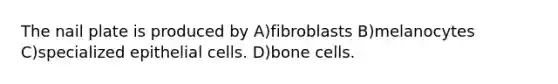 The nail plate is produced by A)fibroblasts B)melanocytes C)specialized epithelial cells. D)bone cells.