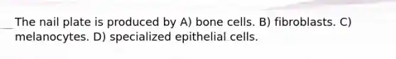 The nail plate is produced by A) bone cells. B) fibroblasts. C) melanocytes. D) specialized epithelial cells.