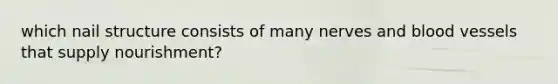 which nail structure consists of many nerves and blood vessels that supply nourishment?