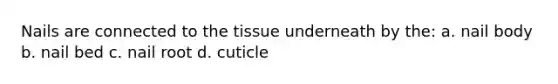 Nails are connected to the tissue underneath by the: a. nail body b. nail bed c. nail root d. cuticle