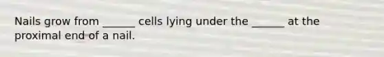Nails grow from ______ cells lying under the ______ at the proximal end of a nail.