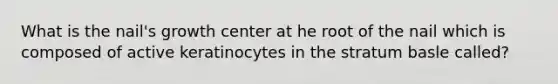 What is the nail's growth center at he root of the nail which is composed of active keratinocytes in the stratum basle called?