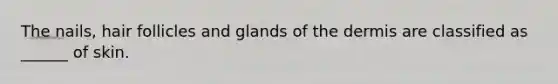 The nails, hair follicles and glands of the dermis are classified as ______ of skin.