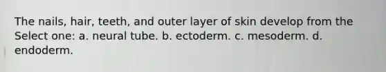 The nails, hair, teeth, and outer layer of skin develop from the Select one: a. neural tube. b. ectoderm. c. mesoderm. d. endoderm.