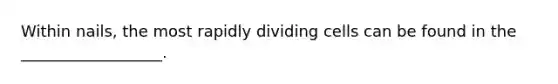 Within nails, the most rapidly dividing cells can be found in the __________________.