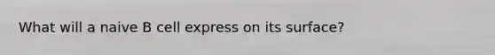 What will a naive B cell express on its surface?