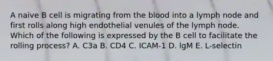 A naive B cell is migrating from <a href='https://www.questionai.com/knowledge/k7oXMfj7lk-the-blood' class='anchor-knowledge'>the blood</a> into a lymph node and first rolls along high endothelial venules of the lymph node. Which of the following is expressed by the B cell to facilitate the rolling process? A. C3a B. CD4 C. ICAM-1 D. lgM E. L-selectin