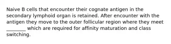 Naive B cells that encounter their cognate antigen in the secondary lymphoid organ is retained. After encounter with the antigen they move to the outer follicular region where they meet ________ which are required for affinity maturation and class switching.