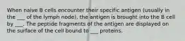 When naive B cells encounter their specific antigen (usually in the ___ of the lymph node), the antigen is brought into the B cell by ___. The peptide fragments of the antigen are displayed on the surface of the cell bound to ___ proteins.