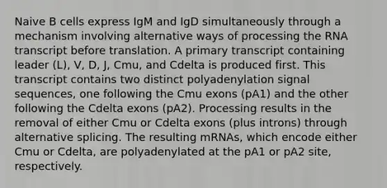 Naive B cells express IgM and IgD simultaneously through a mechanism involving alternative ways of processing the RNA transcript before translation. A primary transcript containing leader (L), V, D, J, Cmu, and Cdelta is produced first. This transcript contains two distinct polyadenylation signal sequences, one following the Cmu exons (pA1) and the other following the Cdelta exons (pA2). Processing results in the removal of either Cmu or Cdelta exons (plus introns) through alternative splicing. The resulting mRNAs, which encode either Cmu or Cdelta, are polyadenylated at the pA1 or pA2 site, respectively.