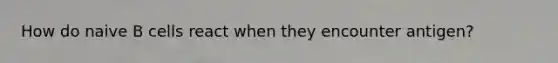 How do naive B cells react when they encounter antigen?