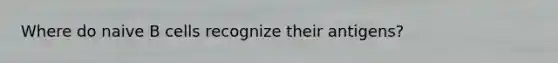 Where do naive B cells recognize their antigens?