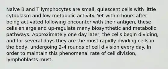 Naive B and T lymphocytes are small, quiescent cells with little cytoplasm and low metabolic activity. Yet within hours after being activated following encounter with their antigen, these cells enlarge and up-regulate many biosynthetic and metabolic pathways. Approximately one day later, the cells begin dividing, and for several days they are the most rapidly dividing cells in the body, undergoing 2-4 rounds of cell division every day. In order to maintain this phenomenal rate of cell division, lymphoblasts must: