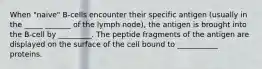 When "naive" B-cells encounter their specific antigen (usually in the _____ _______ of the lymph node), the antigen is brought into the B-cell by _________. The peptide fragments of the antigen are displayed on the surface of the cell bound to ___________ proteins.