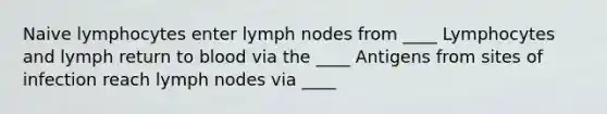 Naive lymphocytes enter lymph nodes from ____ Lymphocytes and lymph return to blood via the ____ Antigens from sites of infection reach lymph nodes via ____