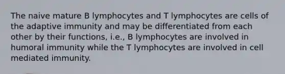 The naive mature B lymphocytes and T lymphocytes are cells of the adaptive immunity and may be differentiated from each other by their functions, i.e., B lymphocytes are involved in humoral immunity while the T lymphocytes are involved in cell mediated immunity.