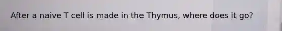 After a naive T cell is made in the Thymus, where does it go?