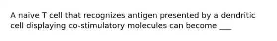 A naive T cell that recognizes antigen presented by a dendritic cell displaying co-stimulatory molecules can become ___