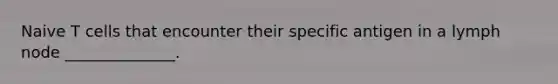 Naive T cells that encounter their specific antigen in a lymph node ______________.