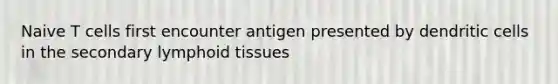 Naive T cells first encounter antigen presented by dendritic cells in the secondary lymphoid tissues