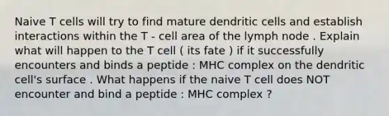 Naive T cells will try to find mature dendritic cells and establish interactions within the T - cell area of the lymph node . Explain what will happen to the T cell ( its fate ) if it successfully encounters and binds a peptide : MHC complex on the dendritic cell's surface . What happens if the naive T cell does NOT encounter and bind a peptide : MHC complex ?