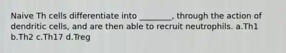 Naive Th cells differentiate into ________, through the action of dendritic cells, and are then able to recruit neutrophils. a.Th1 b.Th2 c.Th17 d.Treg