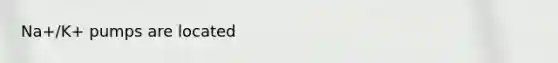 Na+/K+ pumps are located