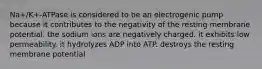 Na+/K+-ATPase is considered to be an electrogenic pump because it contributes to the negativity of the resting membrane potential. the sodium ions are negatively charged. it exhibits low permeability. it hydrolyzes ADP into ATP. destroys the resting membrane potential