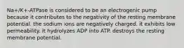 Na+/K+-ATPase is considered to be an electrogenic pump because it contributes to the negativity of the resting membrane potential. the sodium ions are negatively charged. it exhibits low permeability. it hydrolyzes ADP into ATP. destroys the resting membrane potential.