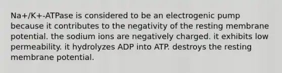 Na+/K+-ATPase is considered to be an electrogenic pump because it contributes to the negativity of the resting membrane potential. the sodium ions are negatively charged. it exhibits low permeability. it hydrolyzes ADP into ATP. destroys the resting membrane potential.