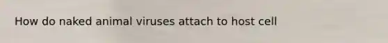 How do naked animal viruses attach to host cell