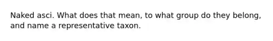 Naked asci. What does that mean, to what group do they belong, and name a representative taxon.