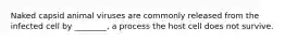 Naked capsid animal viruses are commonly released from the infected cell by ________, a process the host cell does not survive.