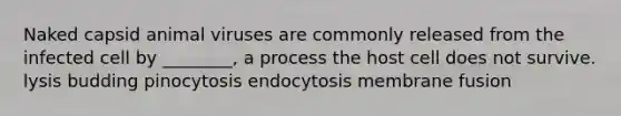 Naked capsid animal viruses are commonly released from the infected cell by ________, a process the host cell does not survive. lysis budding pinocytosis endocytosis membrane fusion