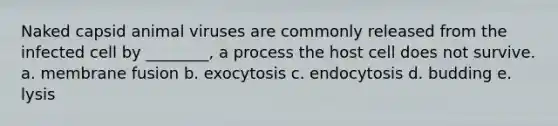 Naked capsid animal viruses are commonly released from the infected cell by ________, a process the host cell does not survive. a. membrane fusion b. exocytosis c. endocytosis d. budding e. lysis