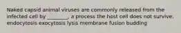 Naked capsid animal viruses are commonly released from the infected cell by ________, a process the host cell does not survive. endocytosis exocytosis lysis membrane fusion budding