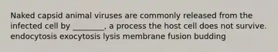 Naked capsid animal viruses are commonly released from the infected cell by ________, a process the host cell does not survive. endocytosis exocytosis lysis membrane fusion budding