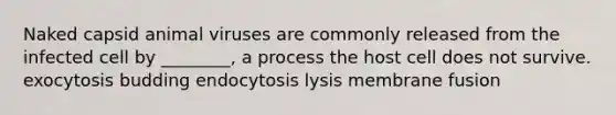 Naked capsid animal viruses are commonly released from the infected cell by ________, a process the host cell does not survive. exocytosis budding endocytosis lysis membrane fusion