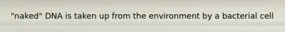 "naked" DNA is taken up from the environment by a bacterial cell