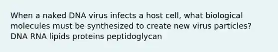 When a naked DNA virus infects a host cell, what biological molecules must be synthesized to create new virus particles? DNA RNA lipids proteins peptidoglycan