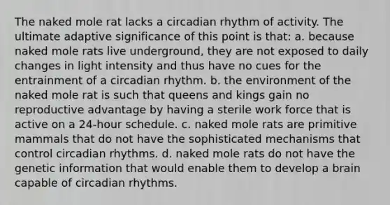 The naked mole rat lacks a circadian rhythm of activity. The ultimate adaptive significance of this point is that: a. because naked mole rats live underground, they are not exposed to daily changes in light intensity and thus have no cues for the entrainment of a circadian rhythm. b. the environment of the naked mole rat is such that queens and kings gain no reproductive advantage by having a sterile work force that is active on a 24-hour schedule. c. naked mole rats are primitive mammals that do not have the sophisticated mechanisms that control circadian rhythms. d. naked mole rats do not have the genetic information that would enable them to develop a brain capable of circadian rhythms.