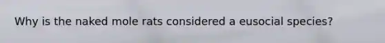 Why is the naked mole rats considered a eusocial species?​