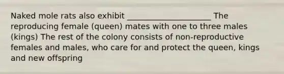 Naked mole rats also exhibit _____________________ The reproducing female (queen) mates with one to three males (kings) The rest of the colony consists of non-reproductive females and males, who care for and protect the queen, kings and new offspring