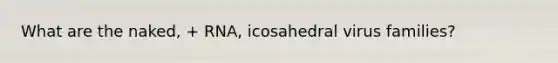 What are the naked, + RNA, icosahedral virus families?