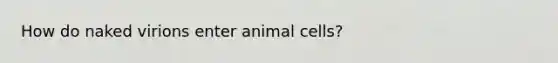 How do naked virions enter animal cells?