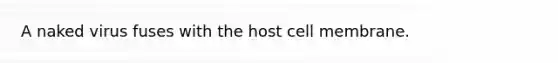 A naked virus fuses with the host cell membrane.