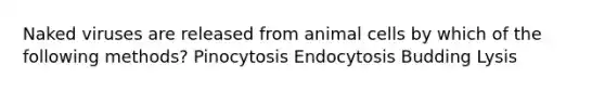 Naked viruses are released from animal cells by which of the following methods? Pinocytosis Endocytosis Budding Lysis