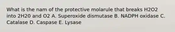 What is the nam of the protective molarule that breaks H2O2 into 2H20 and O2 A. Superoxide dismutase B. NADPH oxidase C. Catalase D. Caspase E. Lysase